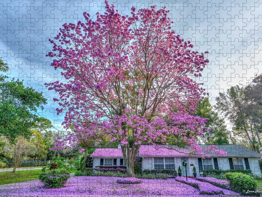 Tabebuia Tree Jigsaw Puzzle featuring the photograph Tabebuia Tree by Lance Raab Photography