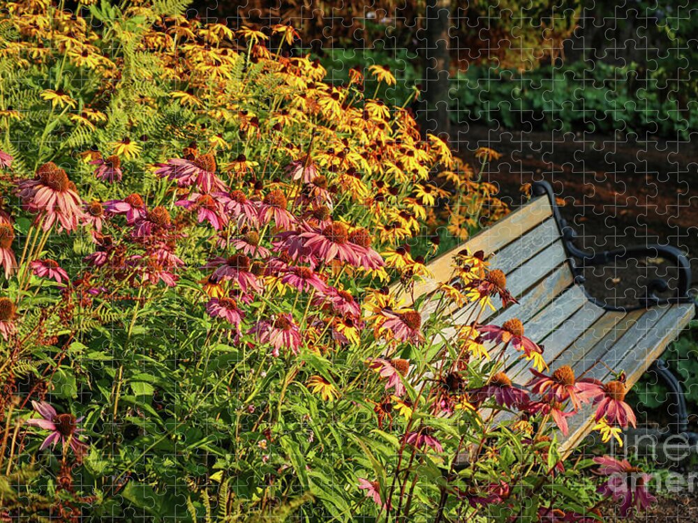 Bench Jigsaw Puzzle featuring the photograph Take a Seat by D Lee