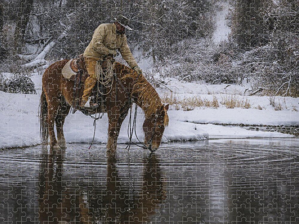 Horse Jigsaw Puzzle featuring the photograph Tap the Water by Laura Hedien