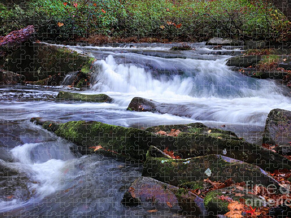 Tellico River Jigsaw Puzzle featuring the photograph Tellico Moment by Rick Lipscomb