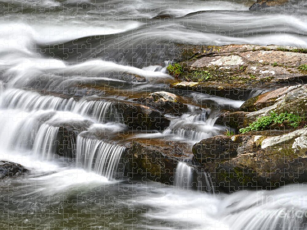 Cherokee National Forest Jigsaw Puzzle featuring the photograph Tellico River 2 by Phil Perkins