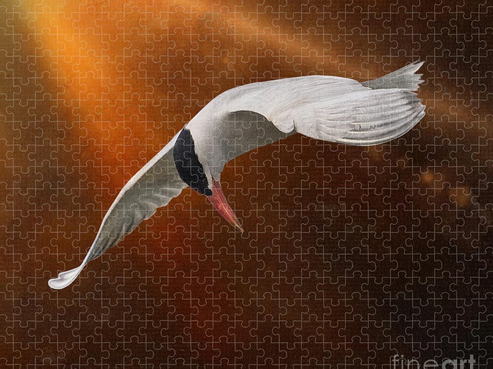 Caspian Tern Jigsaw Puzzle featuring the photograph Terned Into Art by Sandra Rust
