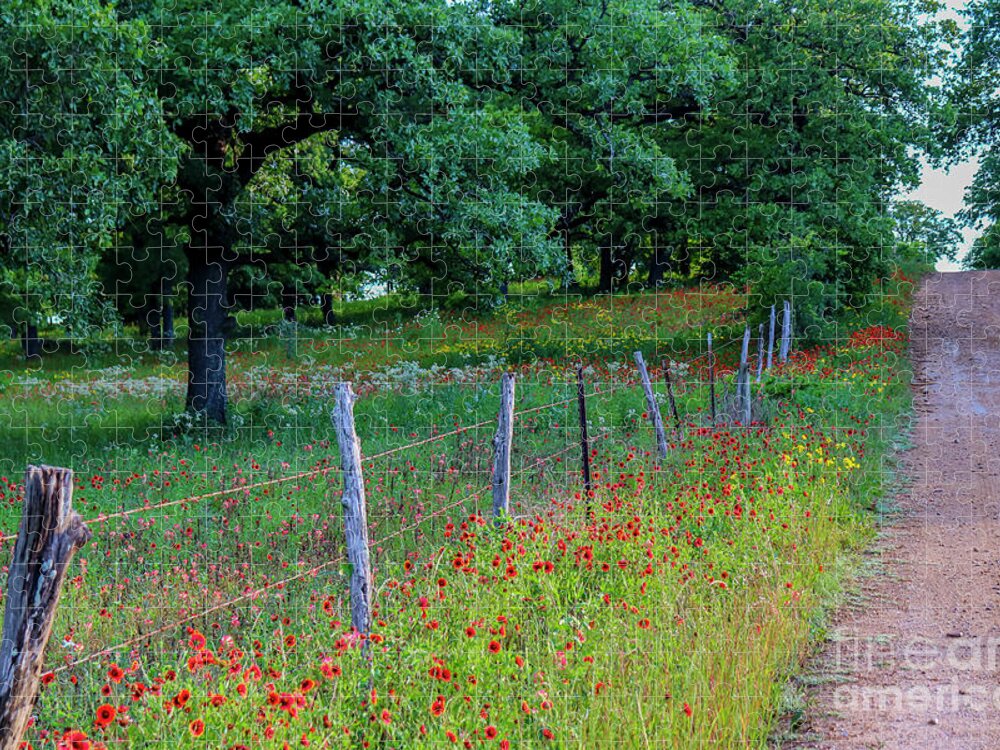 Landscape Jigsaw Puzzle featuring the photograph Texas Backroad by Seth Betterly