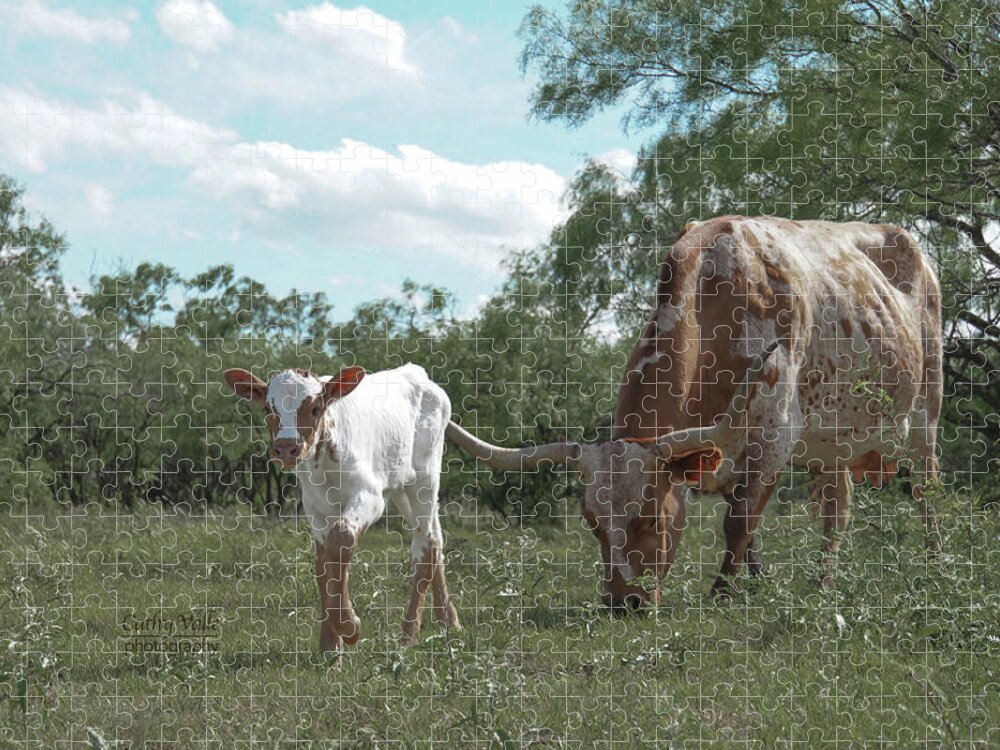 Wall Art Jigsaw Puzzle featuring the photograph Texas longhorn cattle print, Swallowtail with her calf Feathers by Cathy Valle