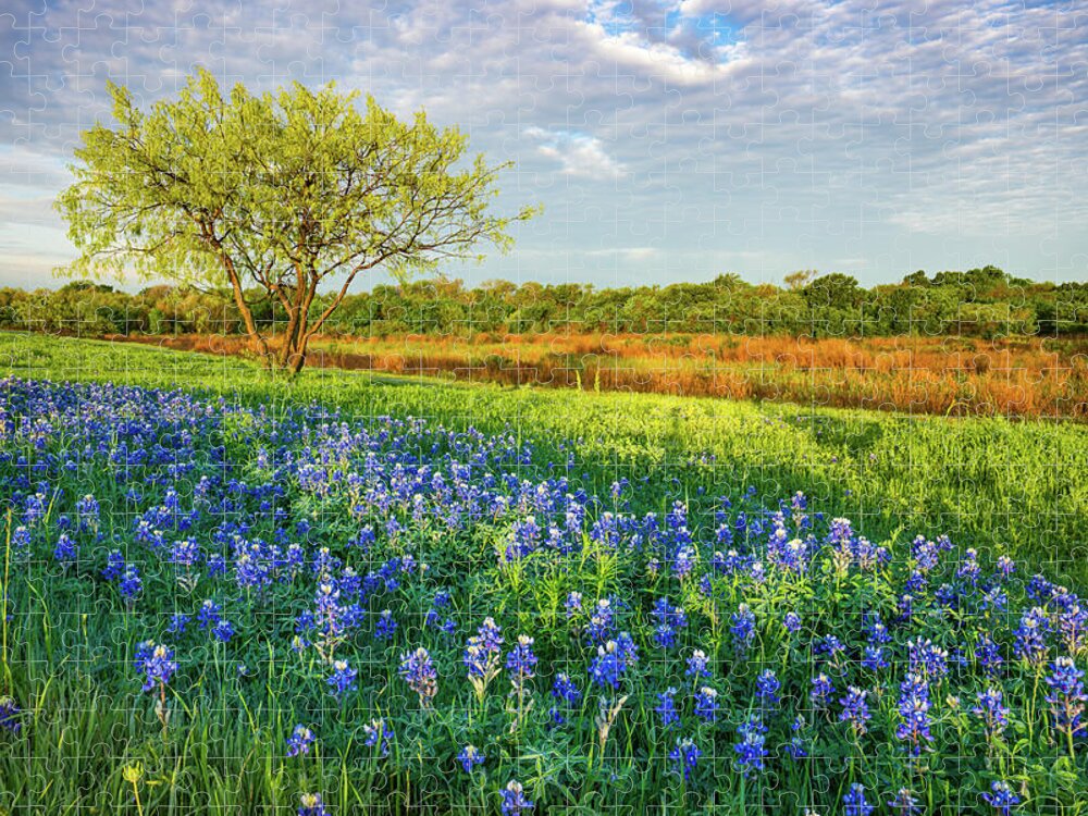 Texas Jigsaw Puzzle featuring the photograph Texas Morning Bluebonnets by Ron Long Ltd Photography