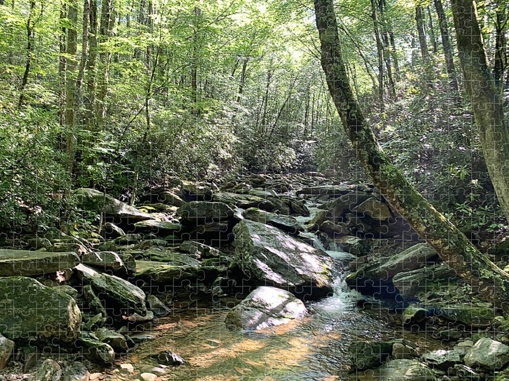 Nc Jigsaw Puzzle featuring the photograph Tha Crick by Lee Darnell