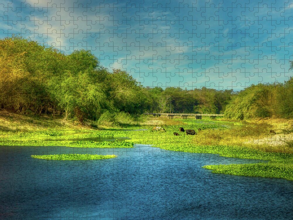Bayamo Jigsaw Puzzle featuring the photograph The Bayamo River by Micah Offman