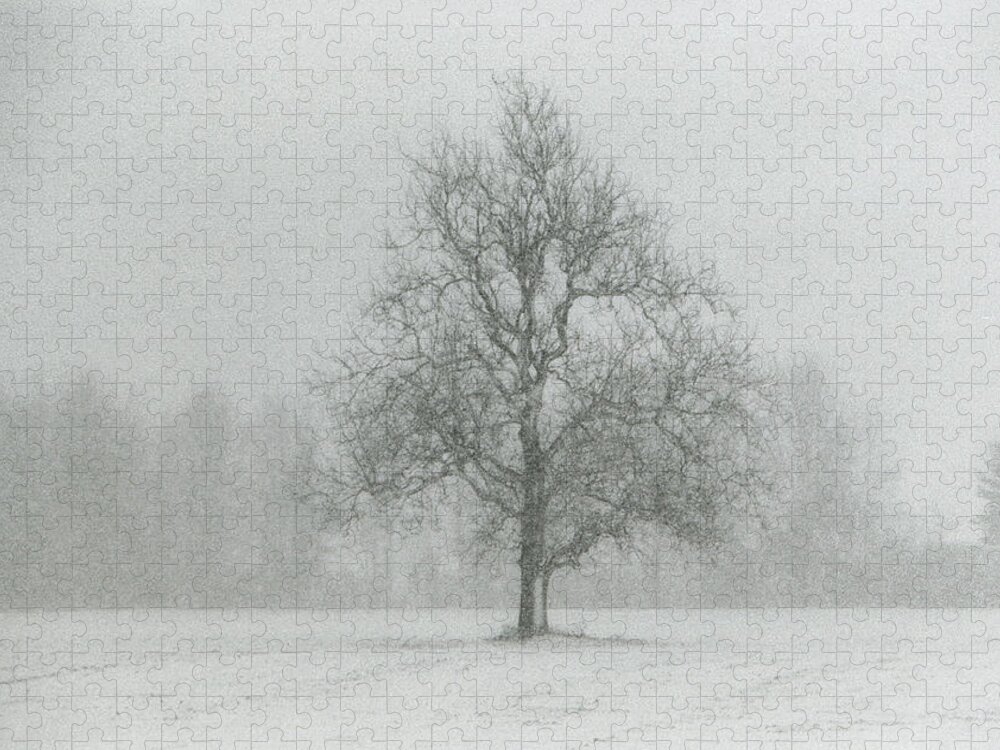 Snow Jigsaw Puzzle featuring the photograph The Beauty of Solitude 2 by Carrie Ann Grippo-Pike