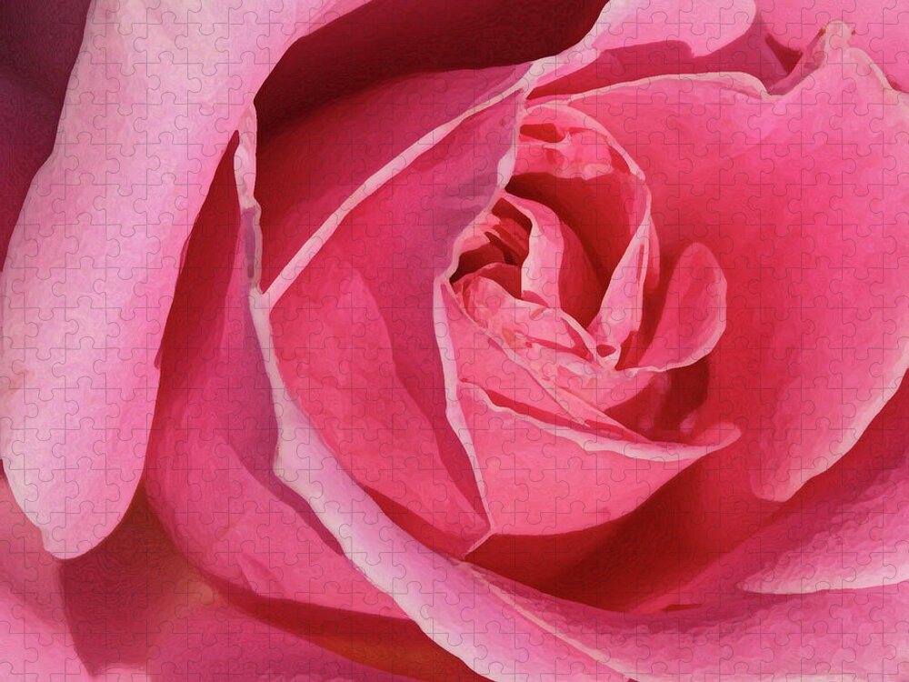 Rose; Roses; Flowers; Flower; Floral; Flora; Pink; Pink Rose; Pink Flowers; Digital Art; Photography; Painting; Simple; Decorative; Décor; Macro; Close-up Jigsaw Puzzle featuring the photograph The Beauty of the Rose by Tina Uihlein