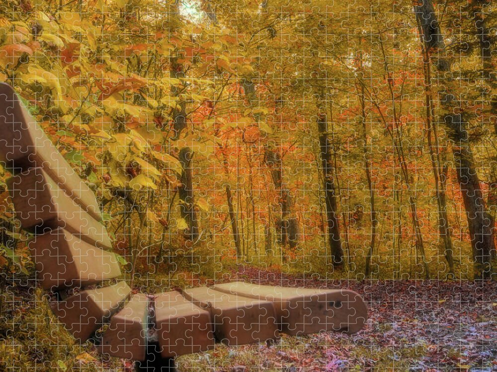 Forest Jigsaw Puzzle featuring the photograph The Bench in the Golden Forest by Jason Fink