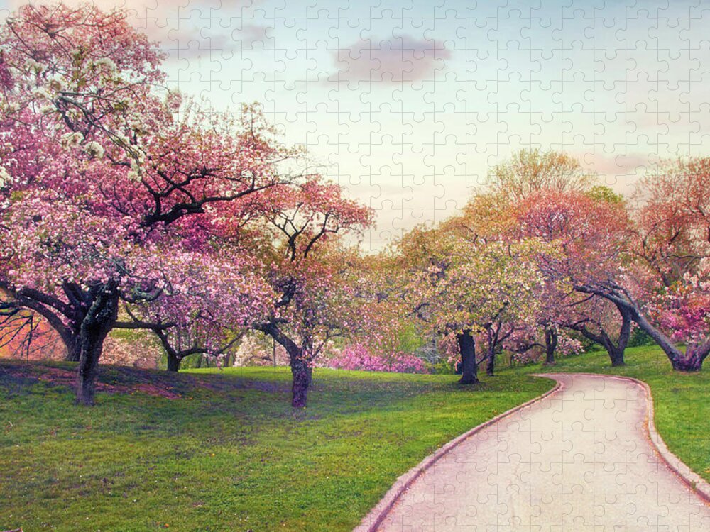 Cherry Grove Jigsaw Puzzle featuring the photograph The Cherry Path by Jessica Jenney