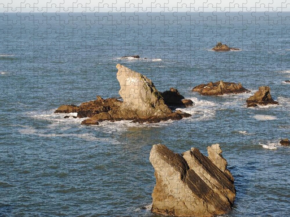 Coast Jigsaw Puzzle featuring the photograph The Coast by Steven Wills