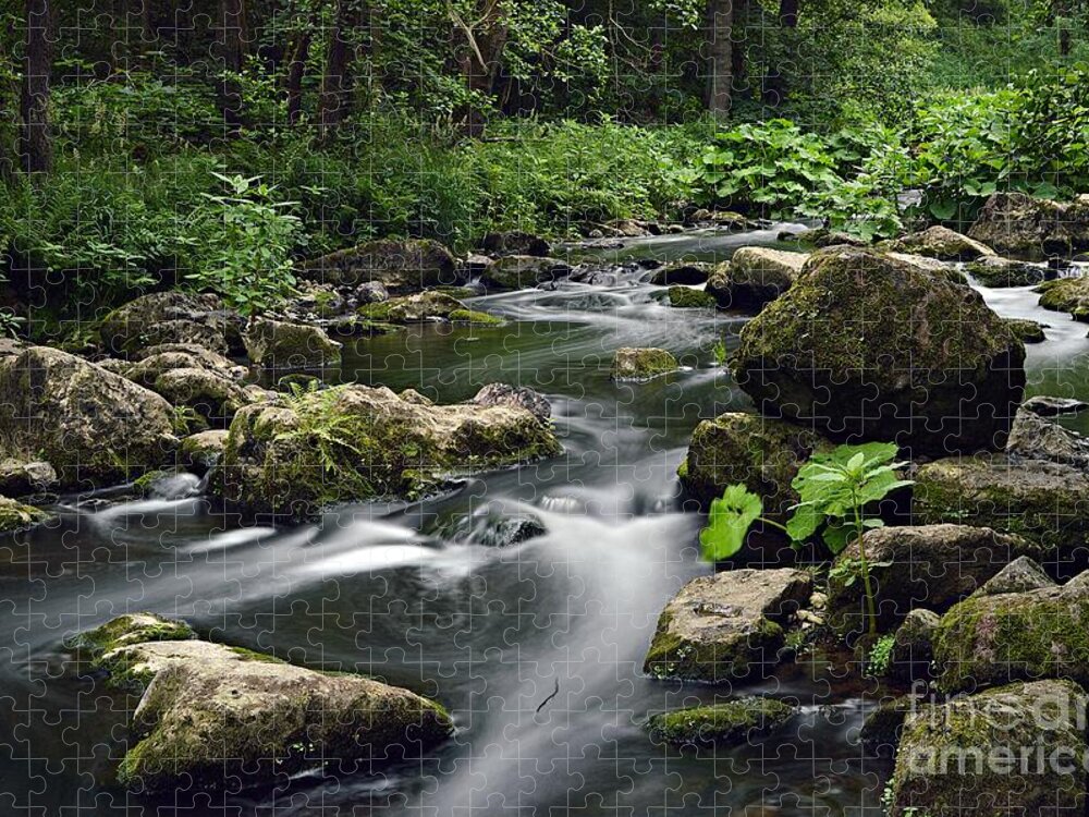 Wasser Jigsaw Puzzle featuring the photograph The Creek by Thomas Schroeder