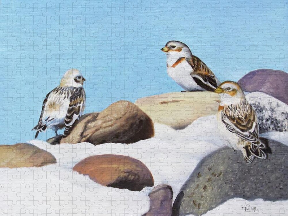 Snow Buntings Jigsaw Puzzle featuring the painting The Debate by Tammy Taylor
