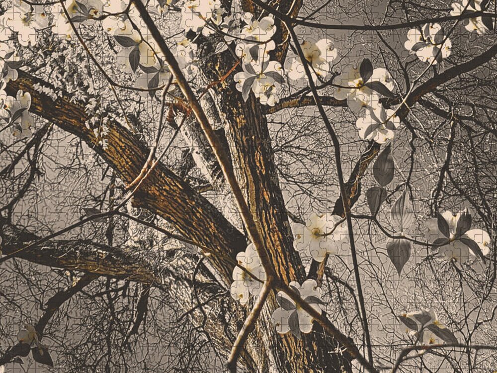 Dogwood Jigsaw Puzzle featuring the photograph The Dogwoods of Spring by Amanda Smith