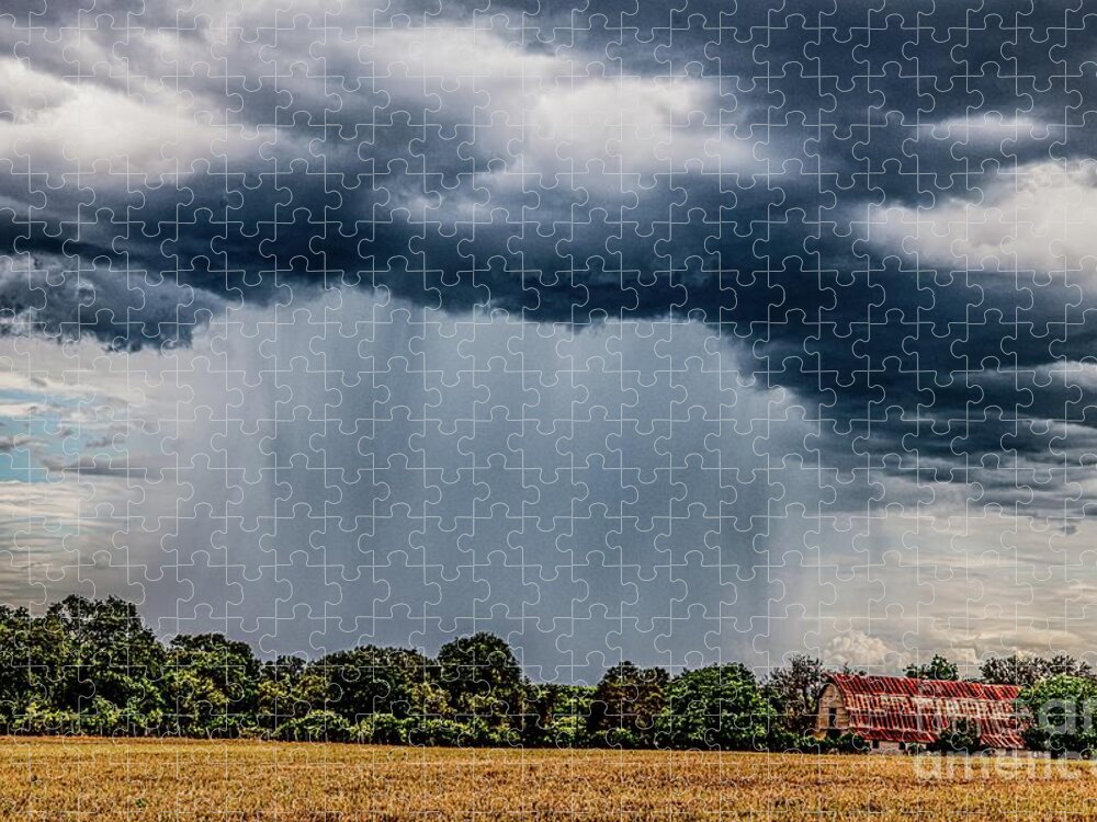  Jigsaw Puzzle featuring the photograph The Downfall by Michael Tidwell