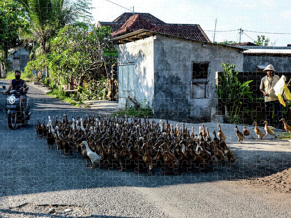 Bail Jigsaw Puzzle featuring the photograph The Duck Whisperer - Bali, Indonesia by Earth And Spirit
