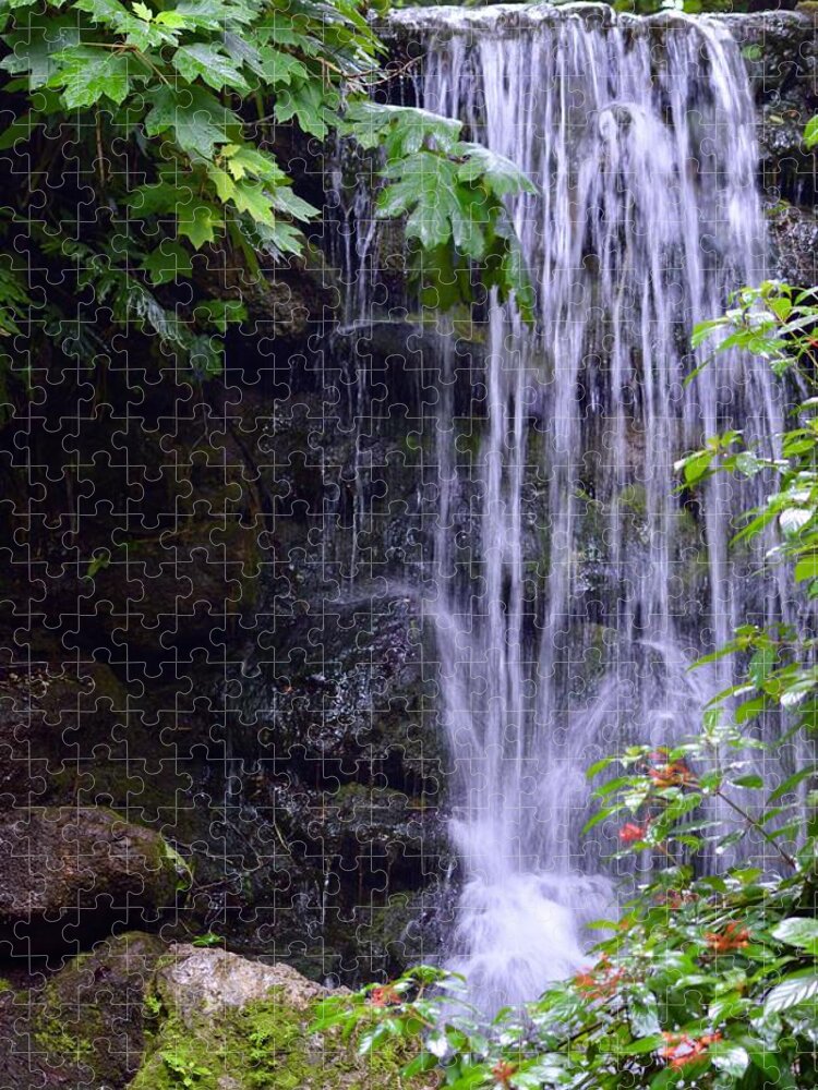 The Falls Of Rainbow Springs State Park Jigsaw Puzzle featuring the photograph The Falls of Rainbow Springs State Park. by Warren Thompson