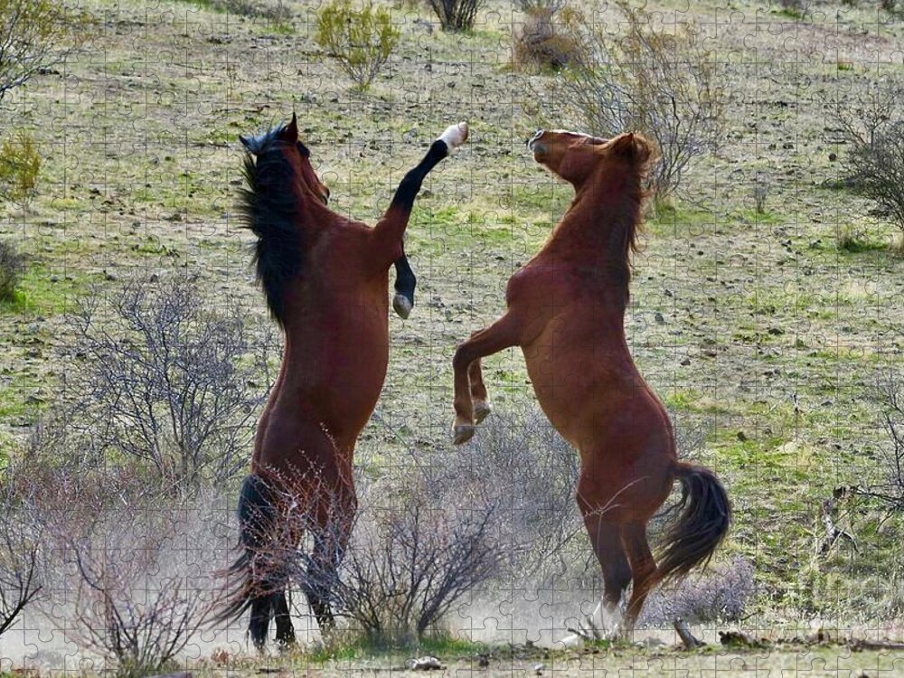 Salt River Wild Horse Jigsaw Puzzle featuring the digital art The Fight Is On by Tammy Keyes