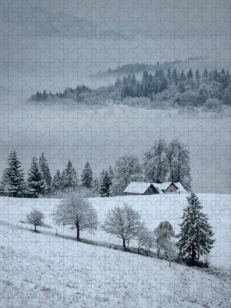 Landscape Jigsaw Puzzle featuring the photograph The first snow by Jaroslaw Blaminsky