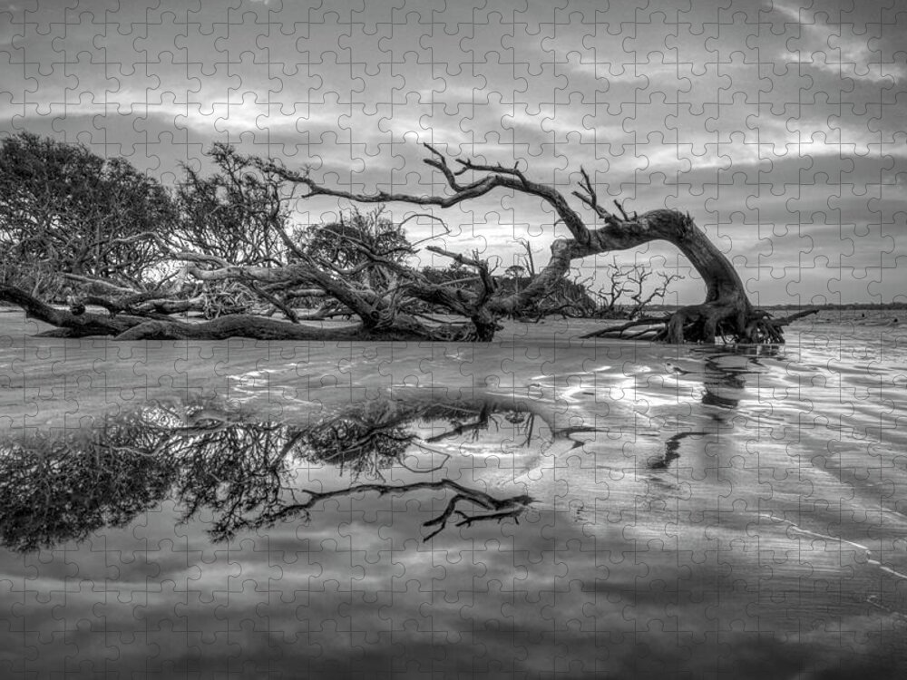 Clouds Jigsaw Puzzle featuring the photograph The Giant has Fallen Jekyll Island Sunrise Black and White by Debra and Dave Vanderlaan
