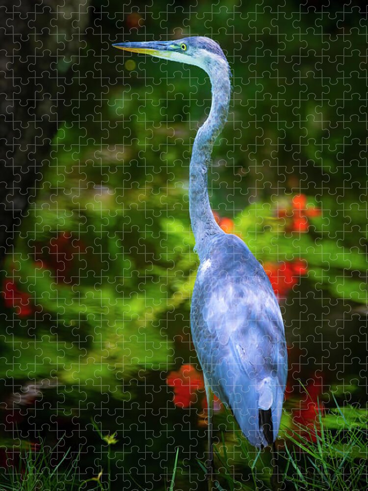 Great Blue Heron Jigsaw Puzzle featuring the photograph The Great Blue Heron by Mark Andrew Thomas