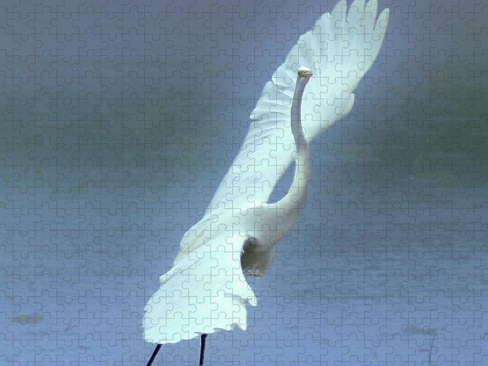 Faune Jigsaw Puzzle featuring the photograph The Great dancing Egret by Carl Marceau