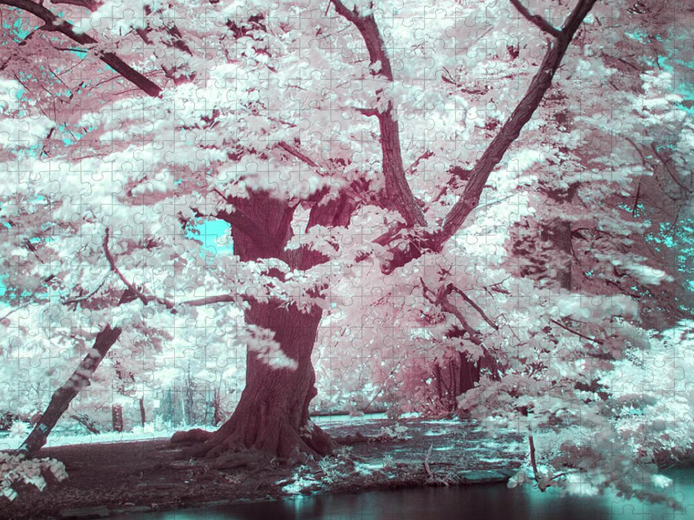 Infrared Jigsaw Puzzle featuring the photograph The Great Ethereal Tree by Auden Johnson