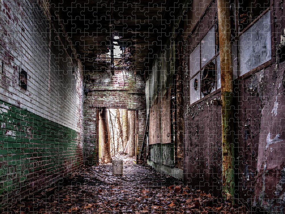 Abandoned Jigsaw Puzzle featuring the photograph The Hallway by Darrell DeRosia