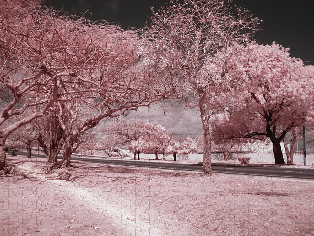 Infrared Photography Jigsaw Puzzle featuring the photograph The Highway and The Byway by Gian Smith