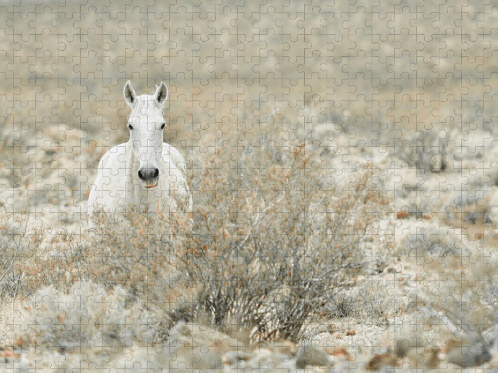 The Horse With No Name Jigsaw Puzzle featuring the photograph The Horse with NO Name by Karen Cox
