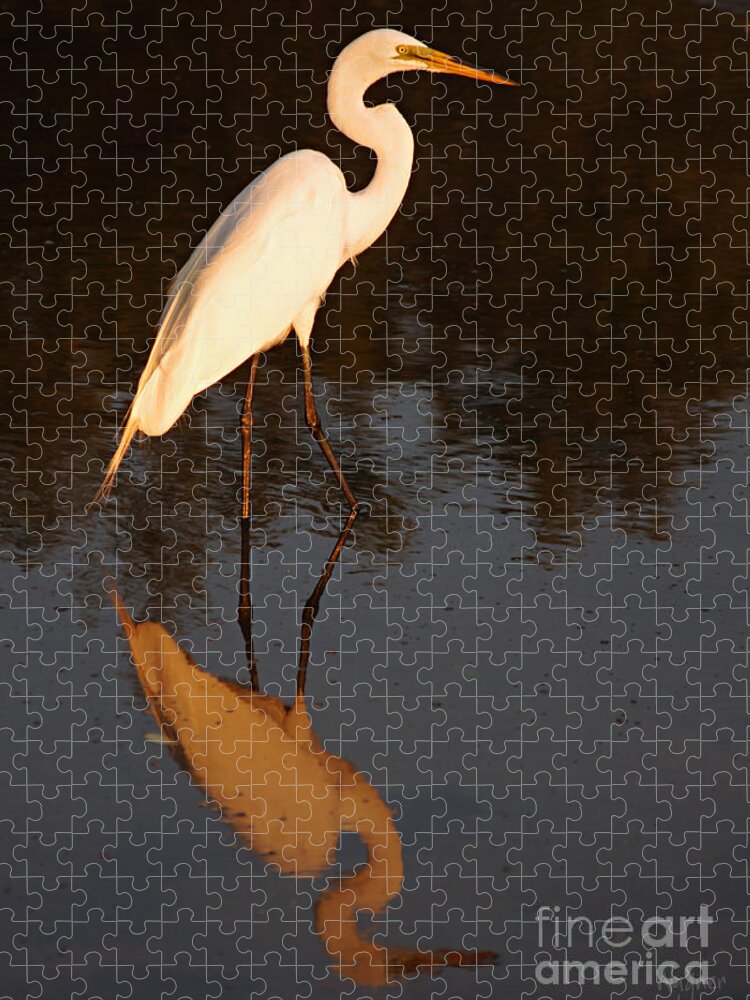Egret Jigsaw Puzzle featuring the photograph The Hunter by Hilda Wagner