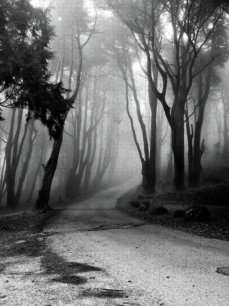 Forest Jigsaw Puzzle featuring the photograph The incantation road by Jorge Maia