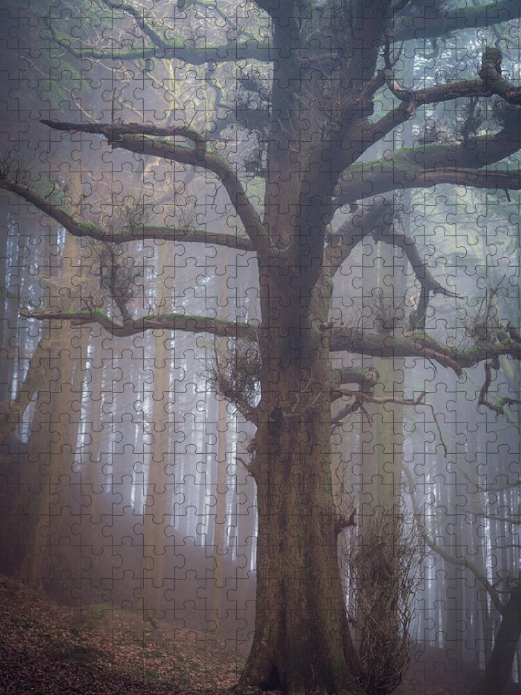 Tree Jigsaw Puzzle featuring the photograph The Loner by Gavin Lewis