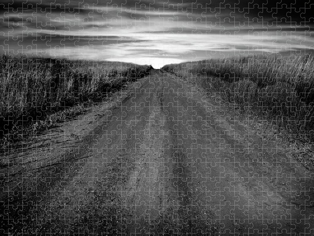 Country Road Jigsaw Puzzle featuring the photograph The Long Walk Home by Michael Ciskowski