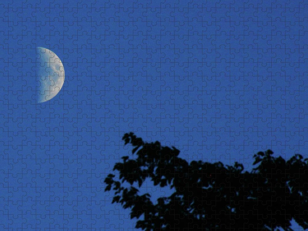 Moon Jigsaw Puzzle featuring the photograph The Moon by Jim Feldman