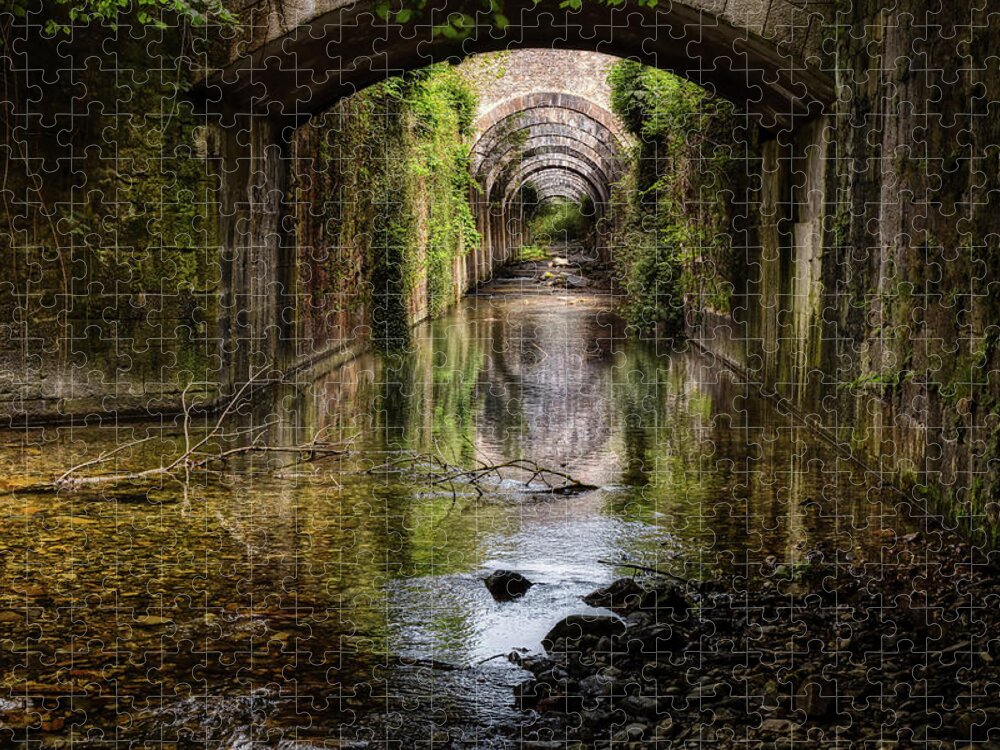Factory Jigsaw Puzzle featuring the photograph The mysterious canal under an abandoned factory by Micah Offman