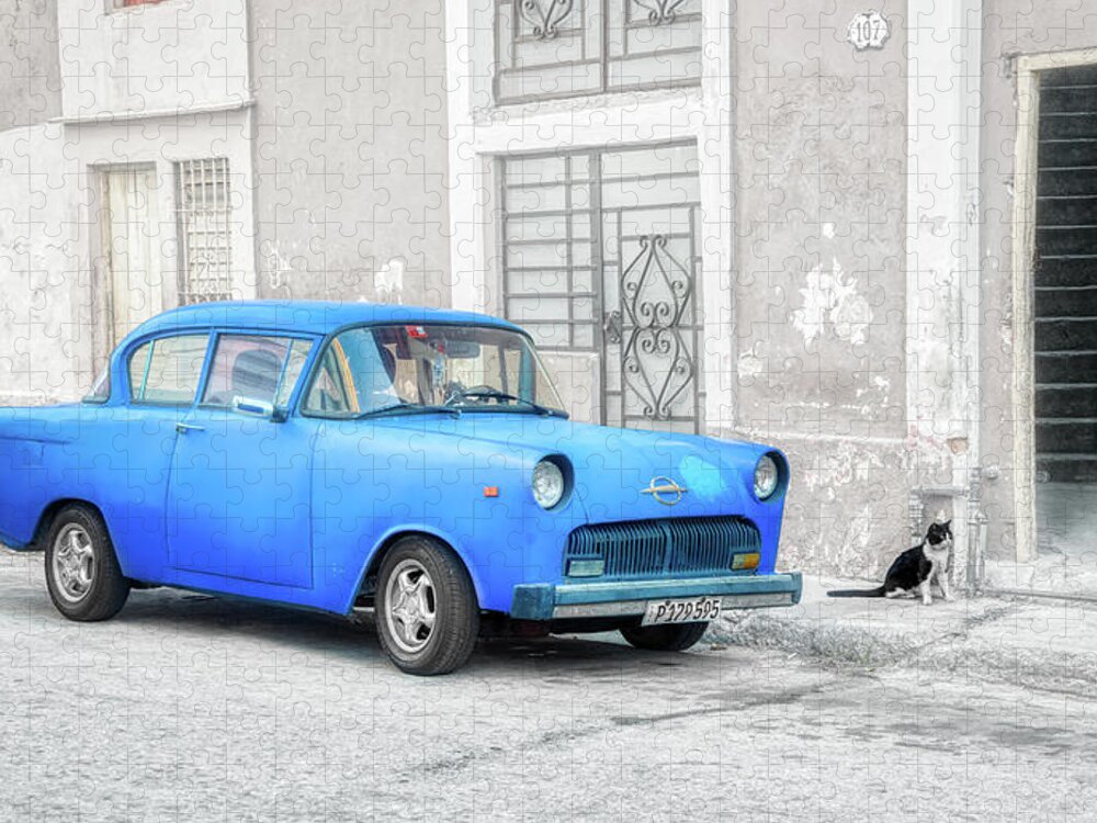 Not New Jigsaw Puzzle featuring the photograph The Opel and the Cat by Micah Offman