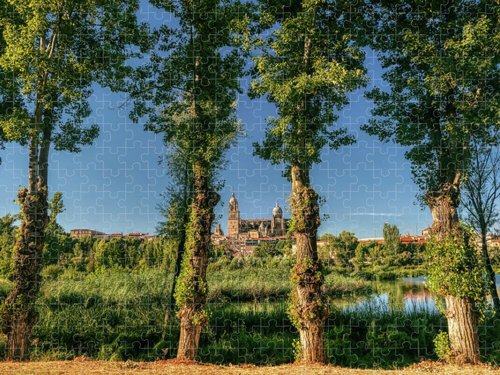 Salamanca Jigsaw Puzzle featuring the photograph The opposite bank by Micah Offman