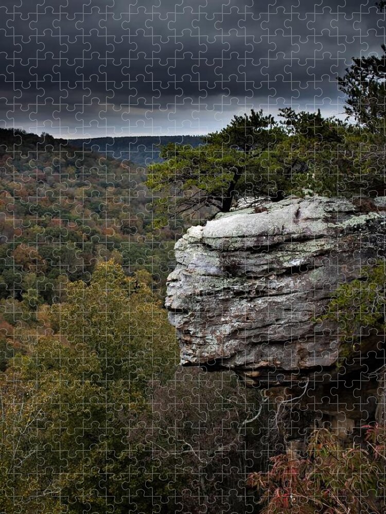 Landscape Jigsaw Puzzle featuring the photograph The Overlook by Jamie Tyler