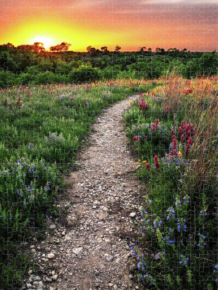Texas Jigsaw Puzzle featuring the photograph The Path Less Traveled by KC Hulsman