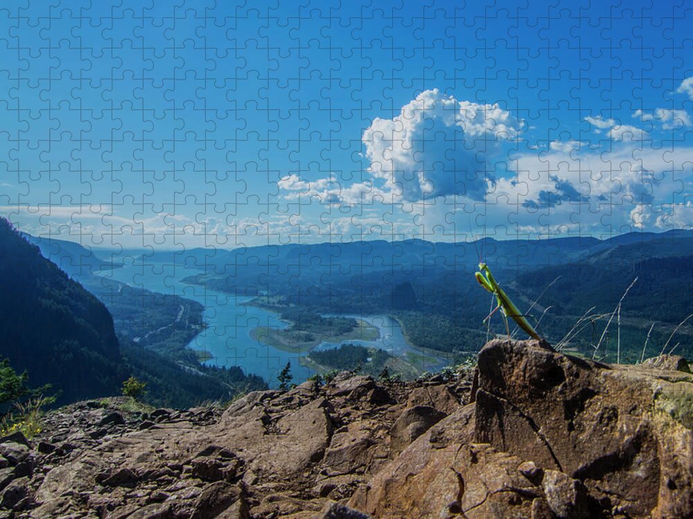 Animal Jigsaw Puzzle featuring the photograph The Praying Mantis of Munra Point by Pelo Blanco Photo