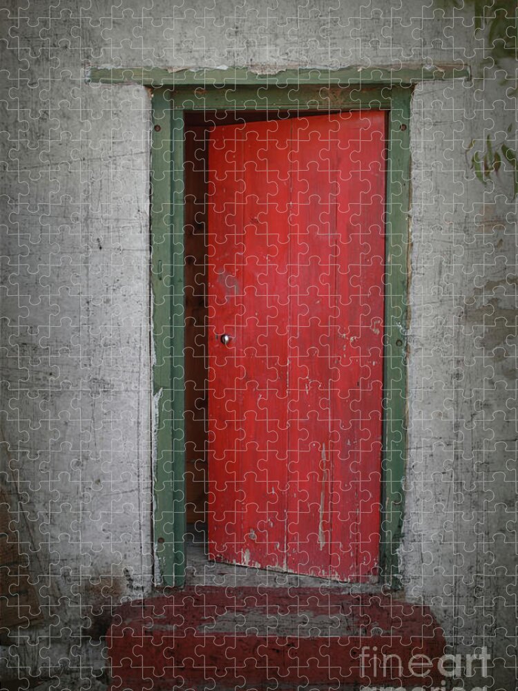Door Jigsaw Puzzle featuring the photograph The Red Door by Elaine Teague