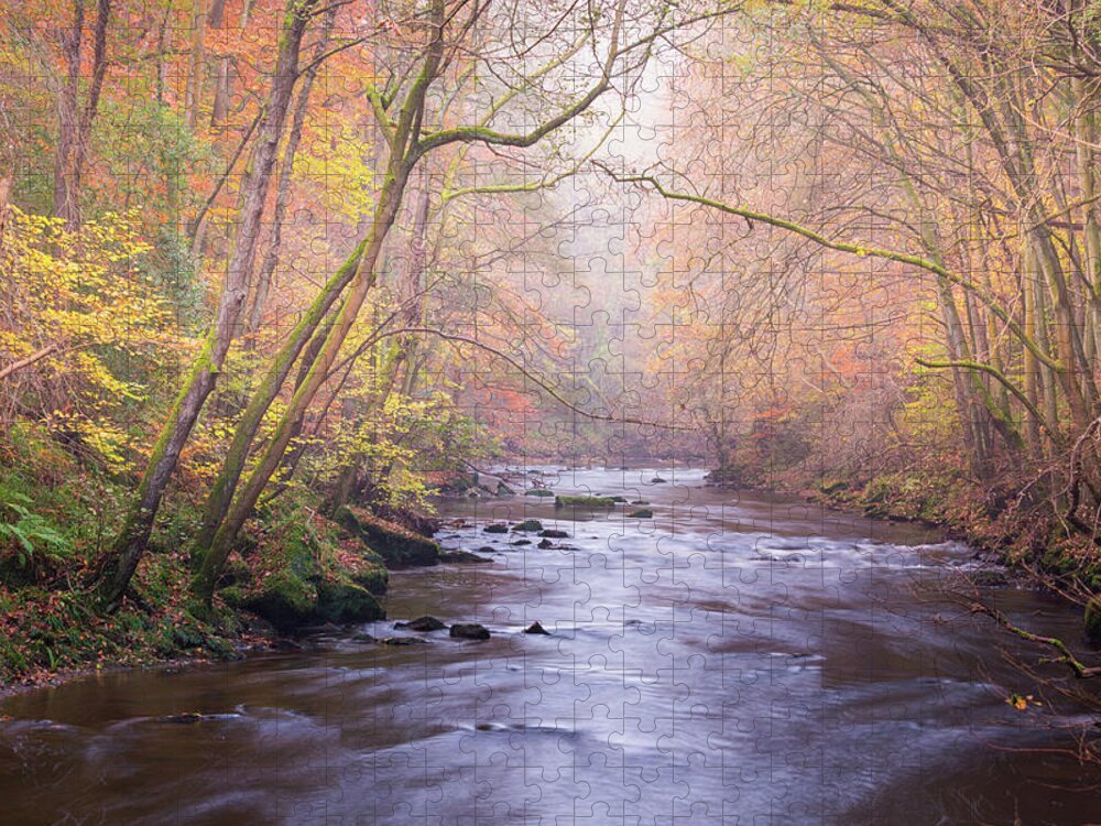 River Jigsaw Puzzle featuring the photograph The River in Autumn by Anita Nicholson