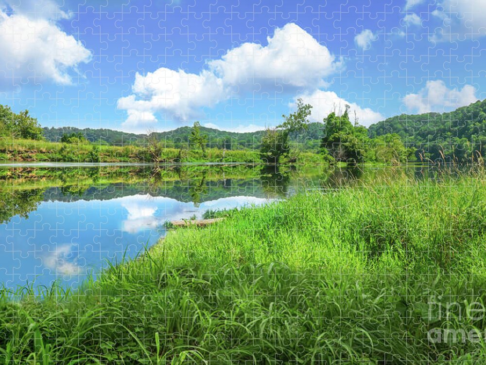 River Jigsaw Puzzle featuring the photograph The River by Shelia Hunt