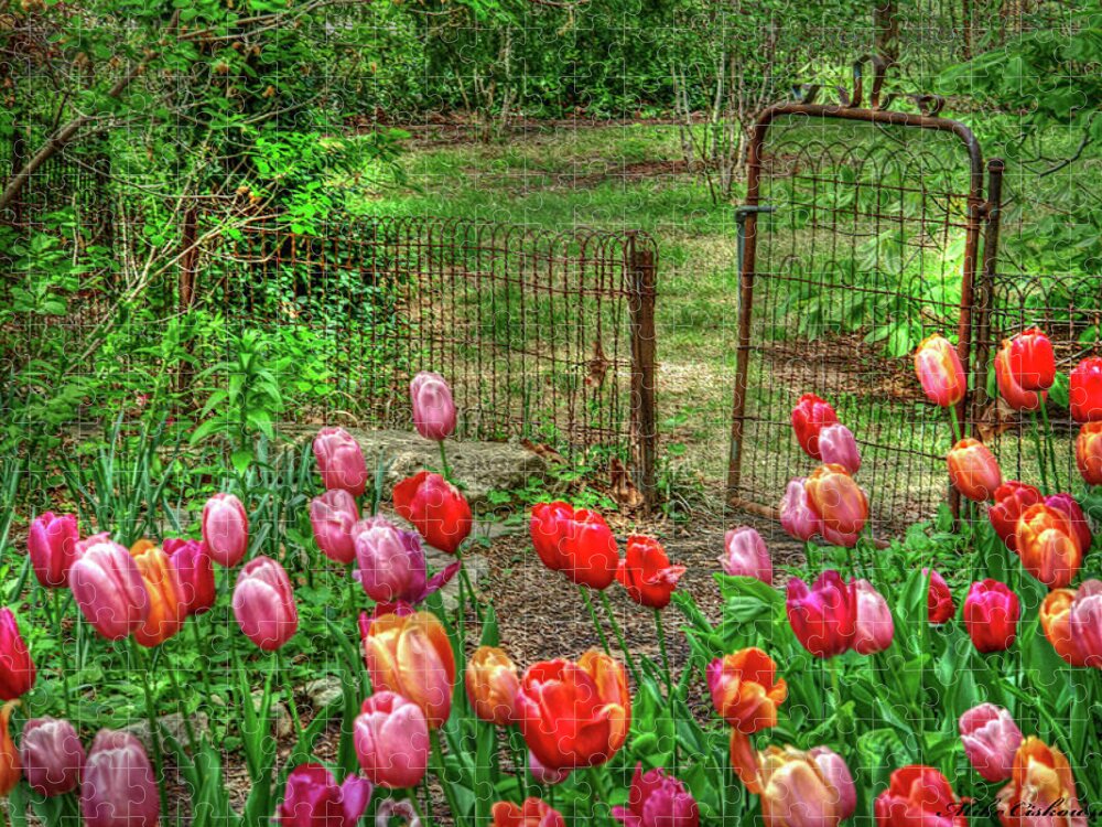 Tulips Jigsaw Puzzle featuring the photograph The Rusty Gate by Michael Ciskowski