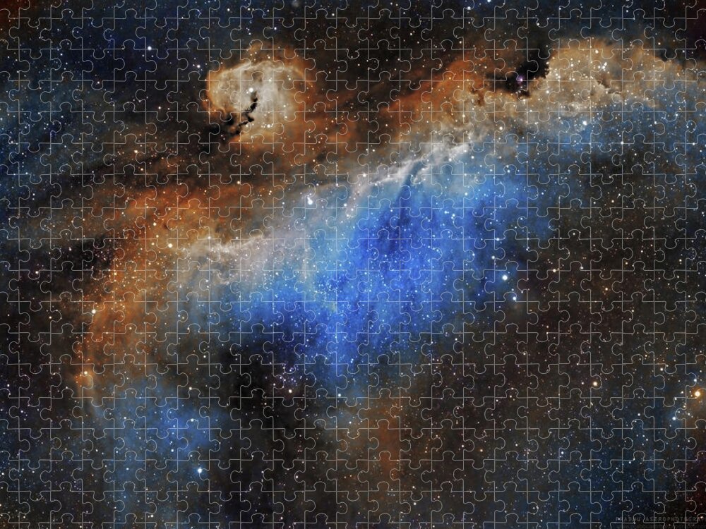 Astronomy Puzzle featuring the photograph The Seagull Nebula by Prabhu Astrophotography
