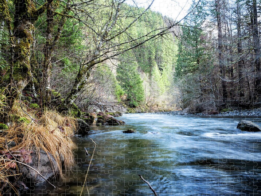 South Fork Jigsaw Puzzle featuring the photograph The South Fork of the McKenzie River by Belinda Greb