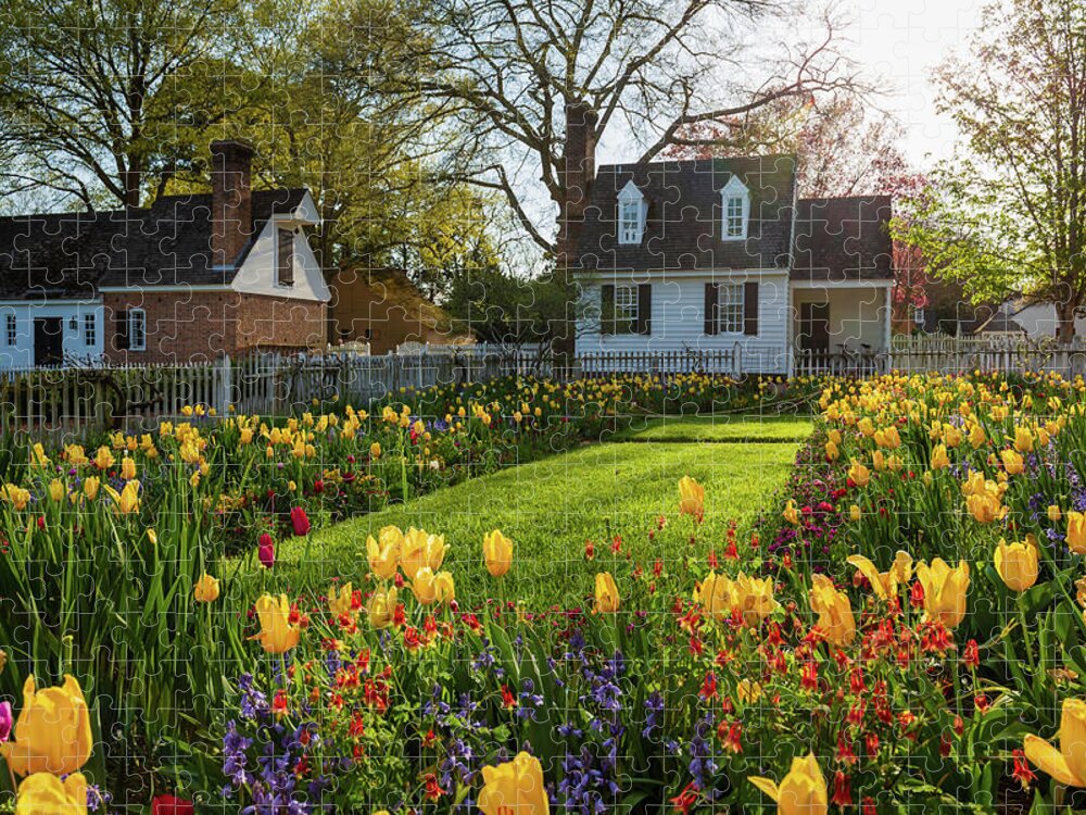 Colonial Williamsburg Jigsaw Puzzle featuring the photograph The Taliaferro-Cole House Spring Garden by Rachel Morrison
