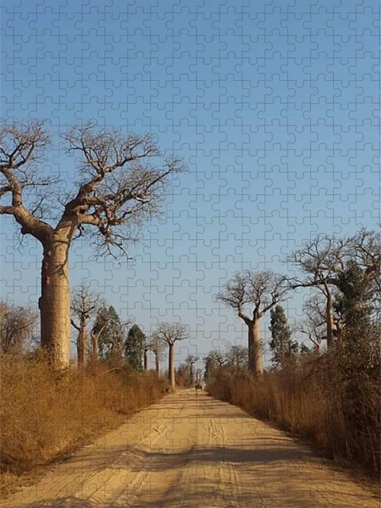All Jigsaw Puzzle featuring the digital art The Trees in Baobab Alley in Madagascar KN50 by Art Inspirity